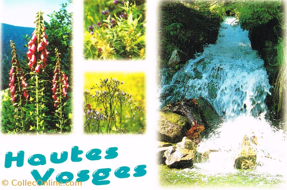 cartes postales france vosges flore et cascade