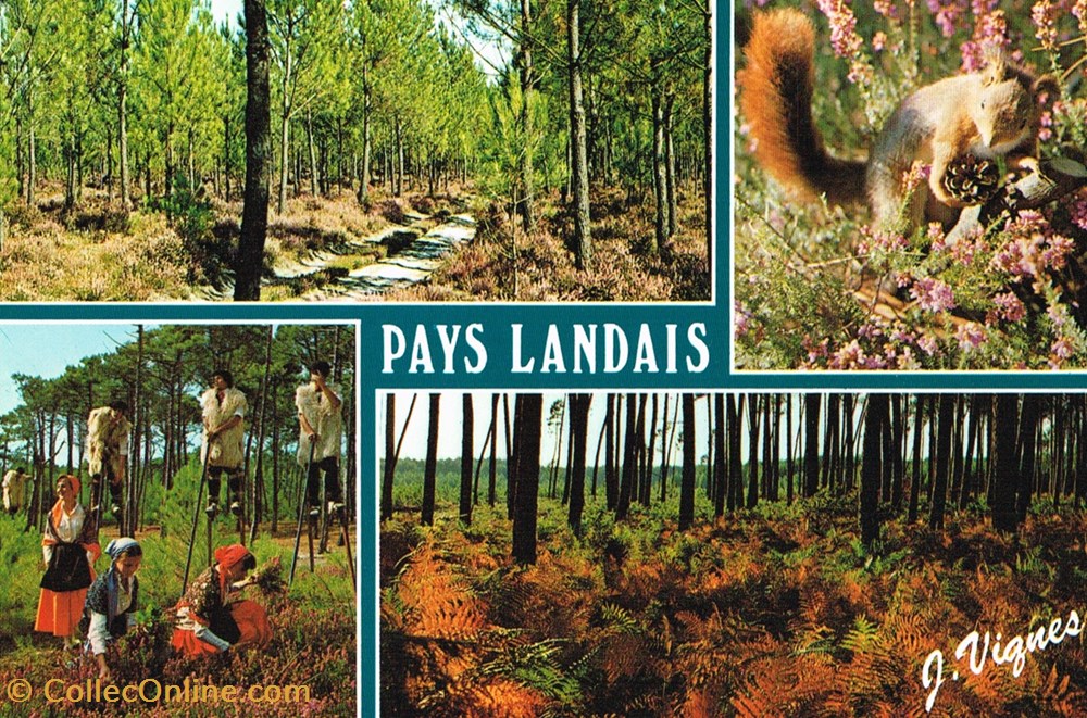 cartes postales france landes paysages