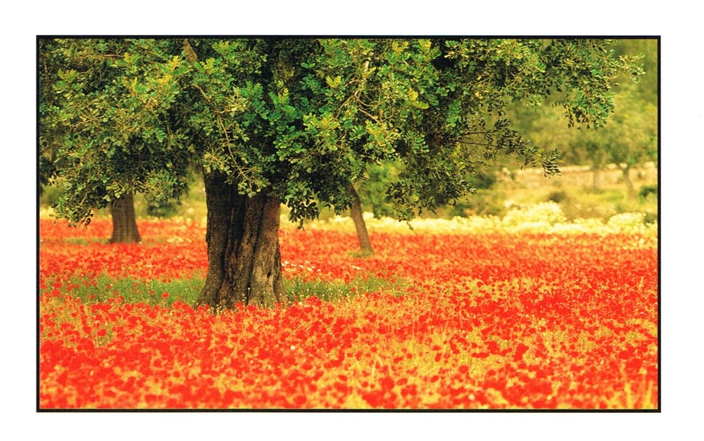 France-Le Lot et Garonne cartes postales france le lot et garonne