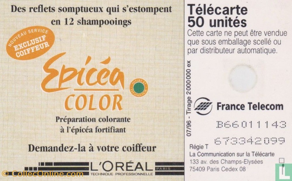 divers telecartes cartes telephoniques france epicea color gemplus 01 1 1988