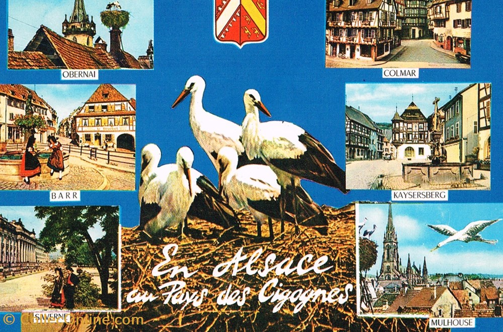 France-Bas Rhin-Obernai-Cigognes cartes postales france bas rhin obernai cigognes