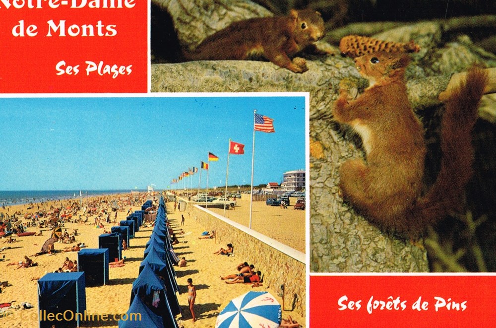 cartes postales france vendee notre dame de monts