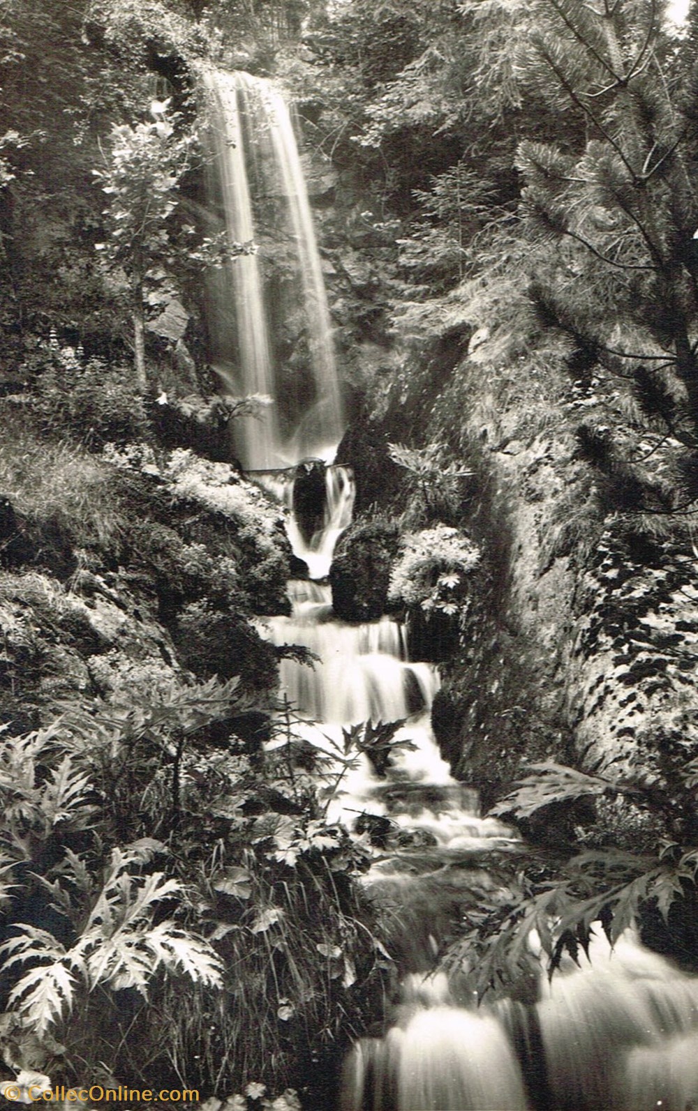 cartes postales france haute savoie samoens casacade de la jaysirinia