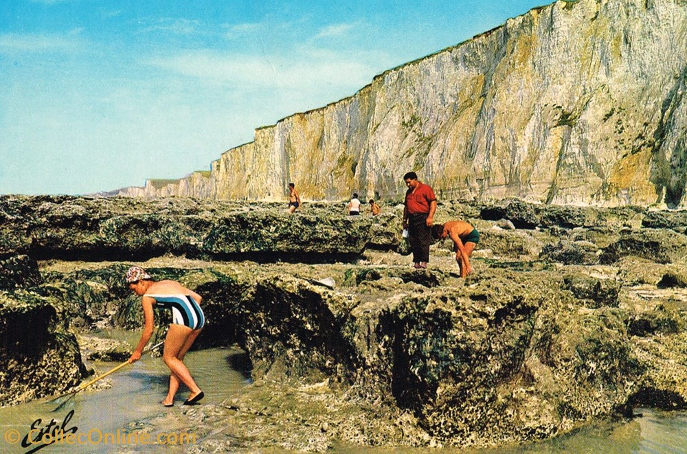 France-Somme-Mers le Tréport- A la recherche des crevettes cartes postales france somme mers le treport a la recherche des crevettes