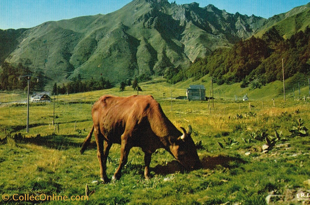 France-Auvergne-Sancy cartes postales france auvergne sancy