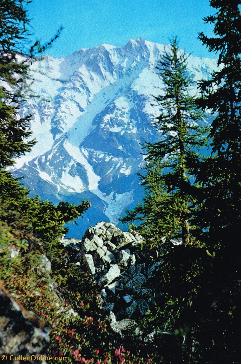 cartes postales france savoie peisy nancroix sommet de bellcote