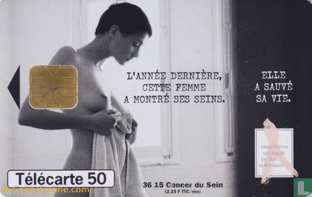 France-Association Le Cancer du Sein, Parlons-En !- Oldenburg Daten Systeme 08 (1998) divers telecartes cartes telephoniques france association le cancer du sein parlons en oldenburg daten systeme 08 1998