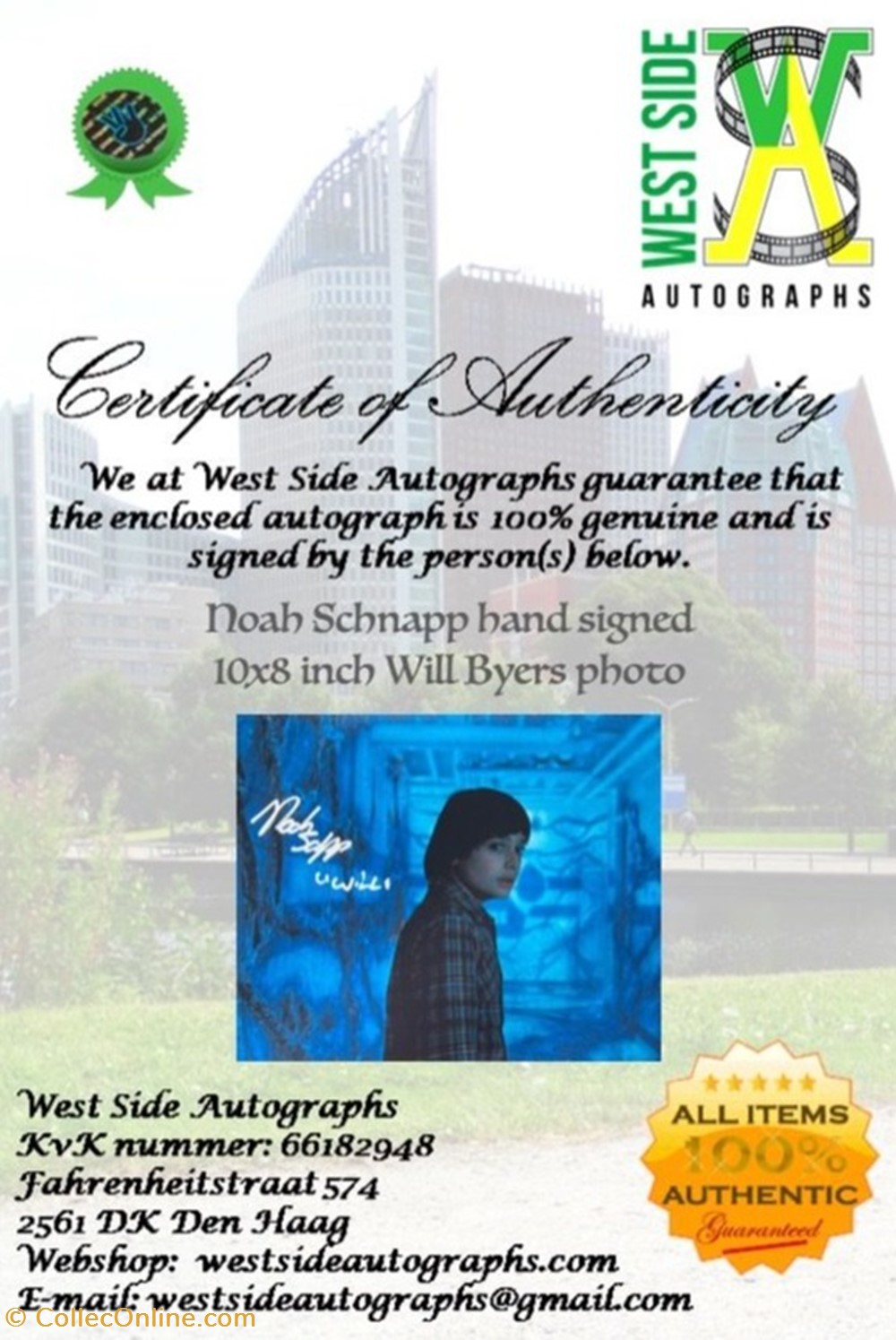Noah Schnapp-Stranger Things cinema series autographes noah schnapp stranger things