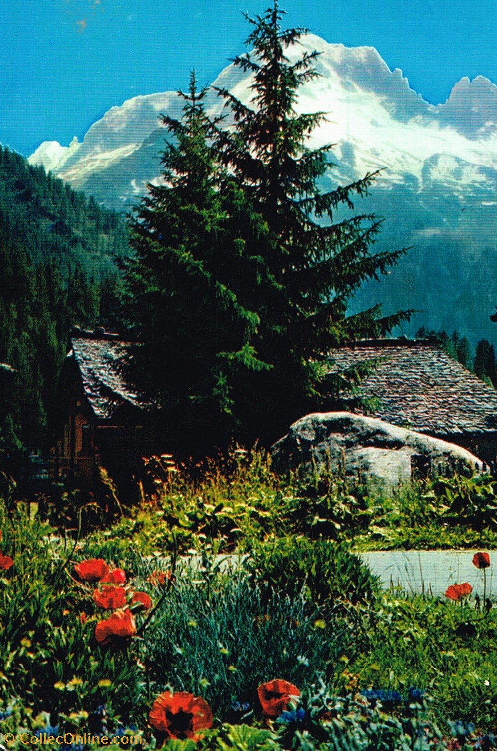 cartes postales france savoie mont blanc