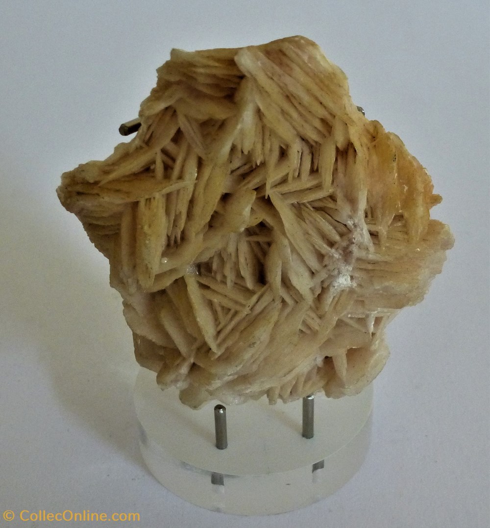Rose du Désert mineraux meteorites rose du desert