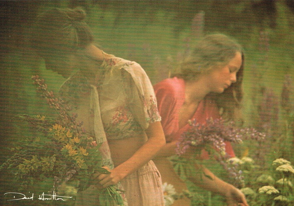 David Hamilton-N°15 cartes postales david hamilton n 15