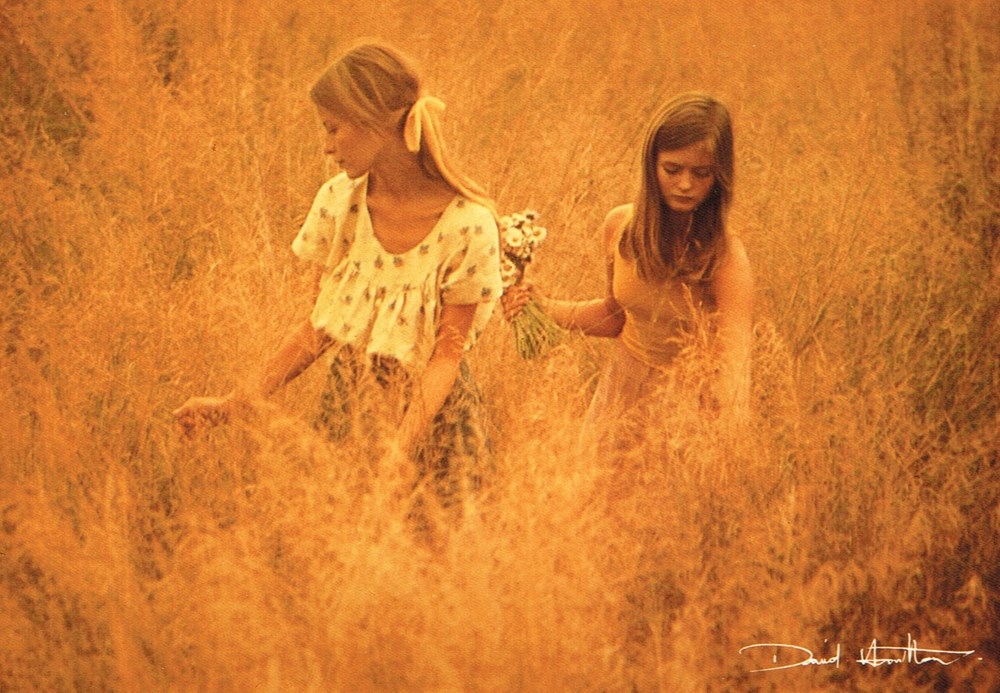 David Hamilton N°62 Cartes Postales Caractéristique Neuve