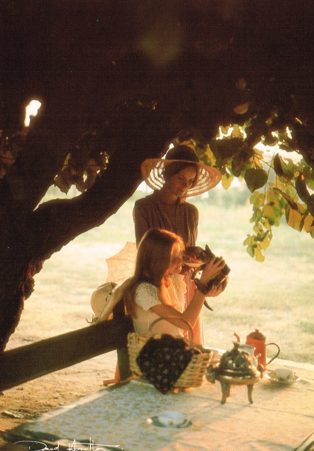cartes postales david hamilton n 69