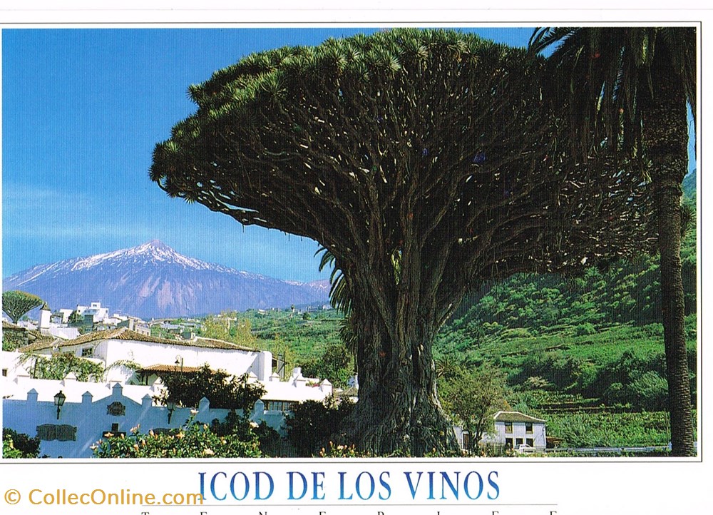 Espagne-Tenerife-Icod de Los Vinos cartes postales espagne tenerife icod de los vinos