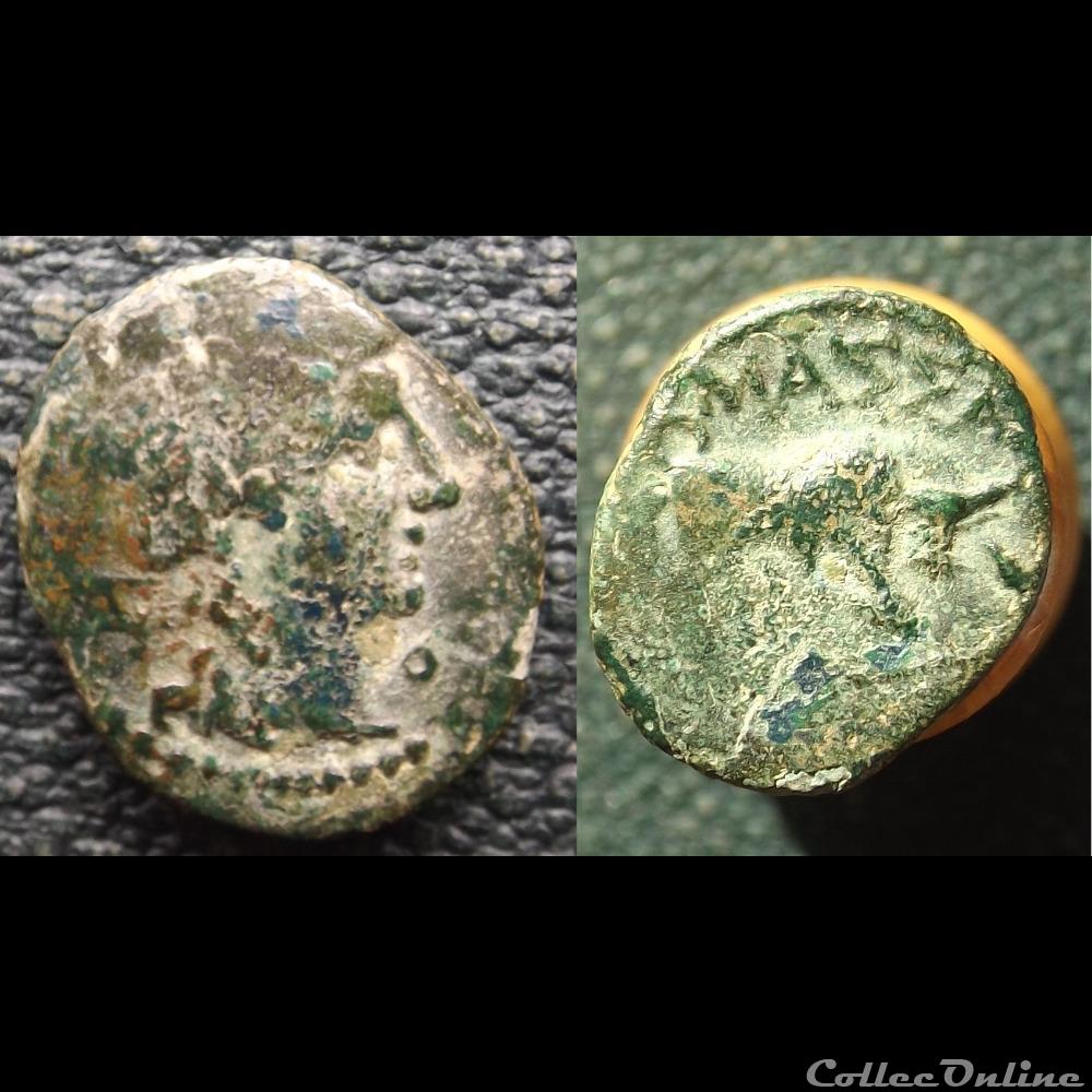 taureau MASSA monnaie antique grecque taureau massa