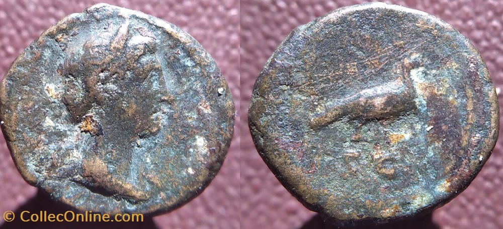 monnaies antiques romaines republicaines imperiales anonyme quadrans ric 24 venus et colombe sc