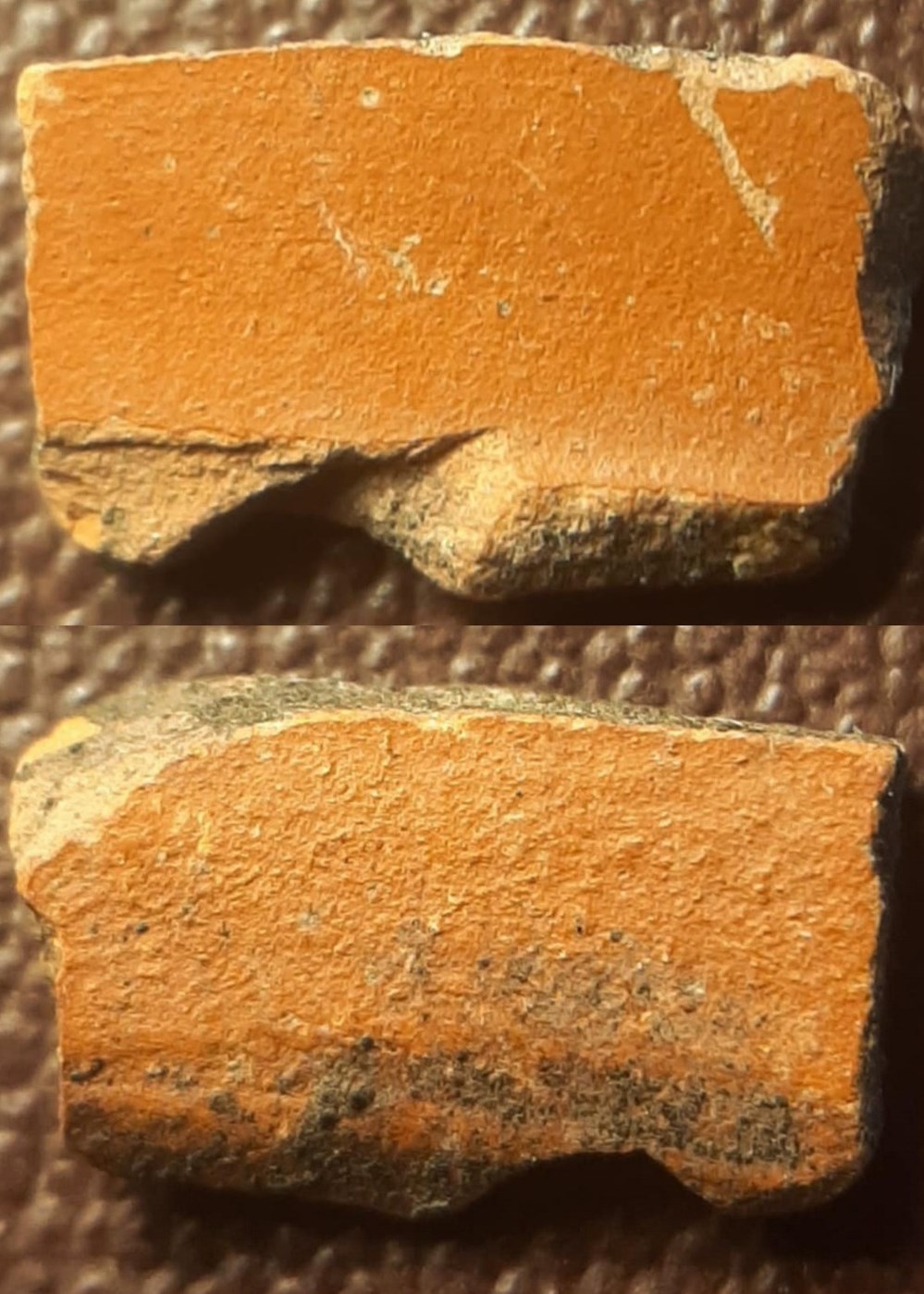 art antiquites archeologie europe fragment de ceramique sigillee