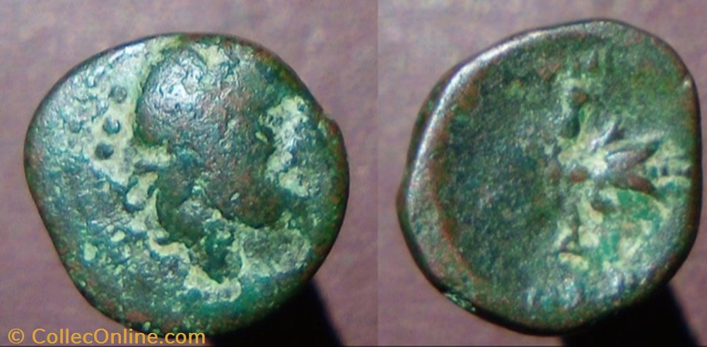 monnaie antique av jc ap grecque petelia bronze