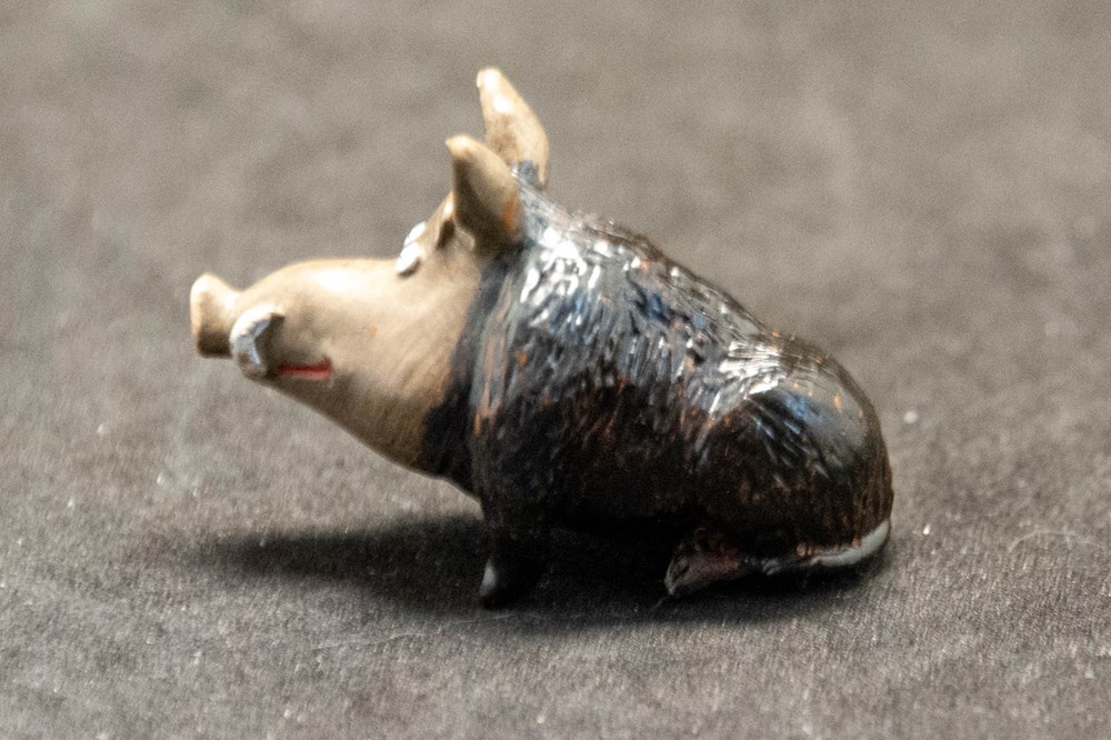 Plastoy - 2006 - 4 cm - Sanglier (variante de couleur) figurines plastoy 2006 4 cm sanglier variante de couleur