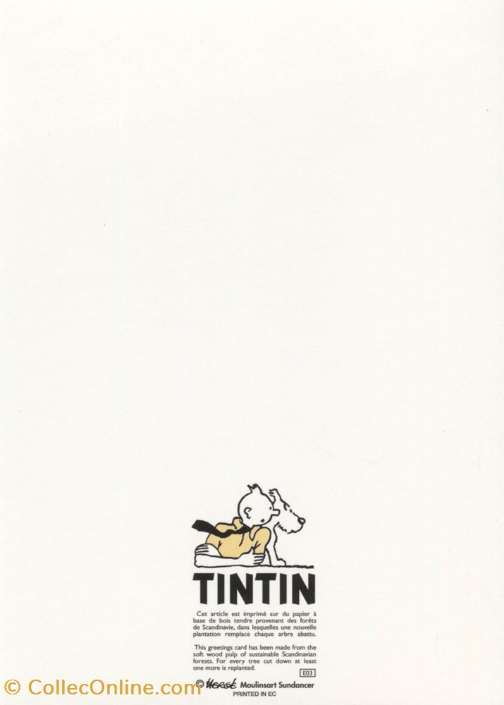 Carte - Moulinsart - 12x17 - Double - Tintin (E03) postale carte moulinsart 12x17 double tintin e03