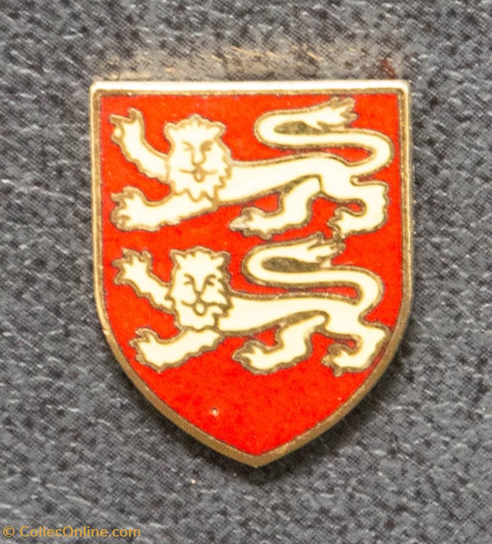 divers pin badges blason bourgogne