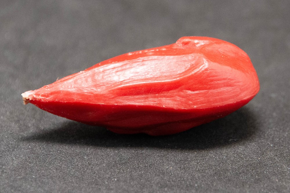 figurines bonbons dupont isigny 1969 03 rouge menhir