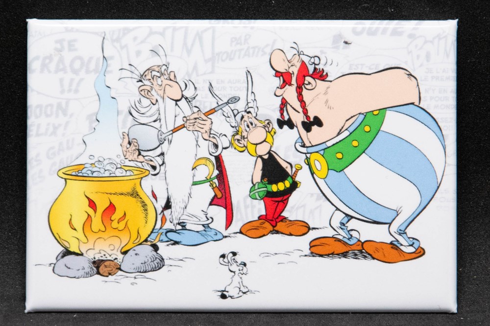 divers decorations magnets autocollants magnet 2023 la distribution de potion