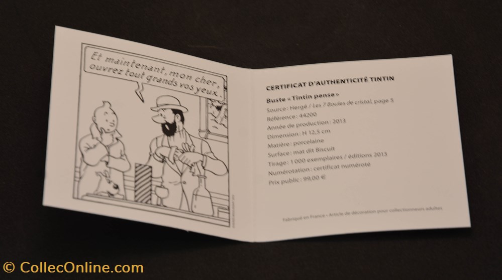 figurine buste porcelaine moulinsart 2013 12 5 cm tintin pense mat