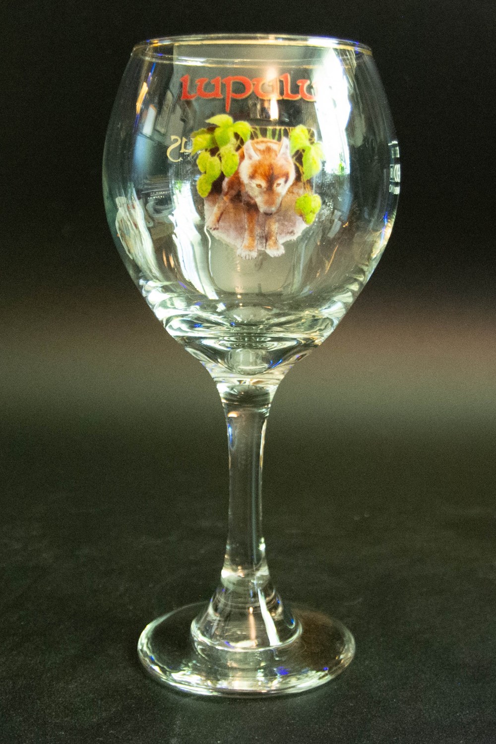 Lupulus art de la table argenterie bistrot alimentation verres lupulus