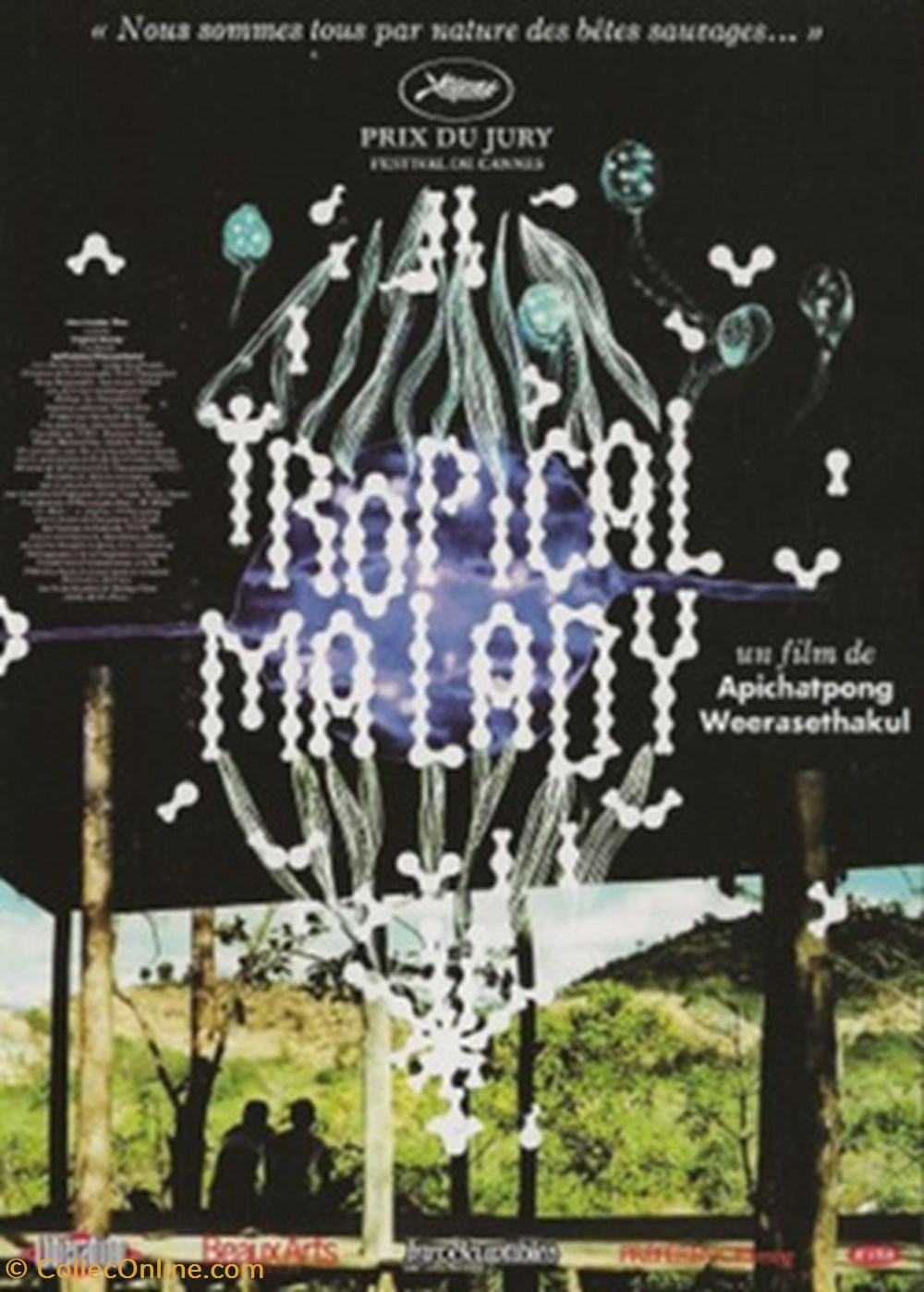 Tropical malady cartes postales autres tropical malady