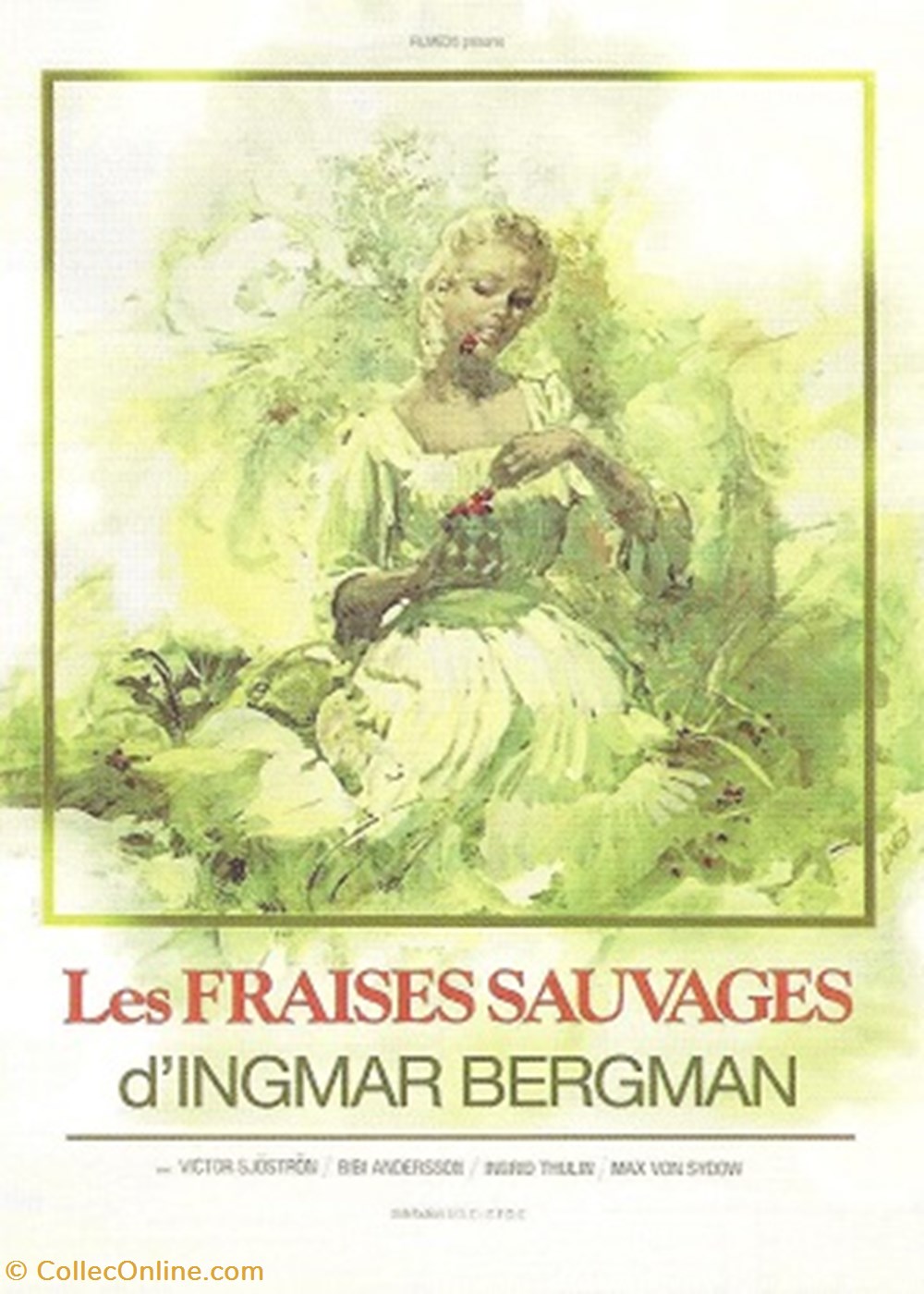 Les fraises sauvages cartes postales autres les fraises sauvages