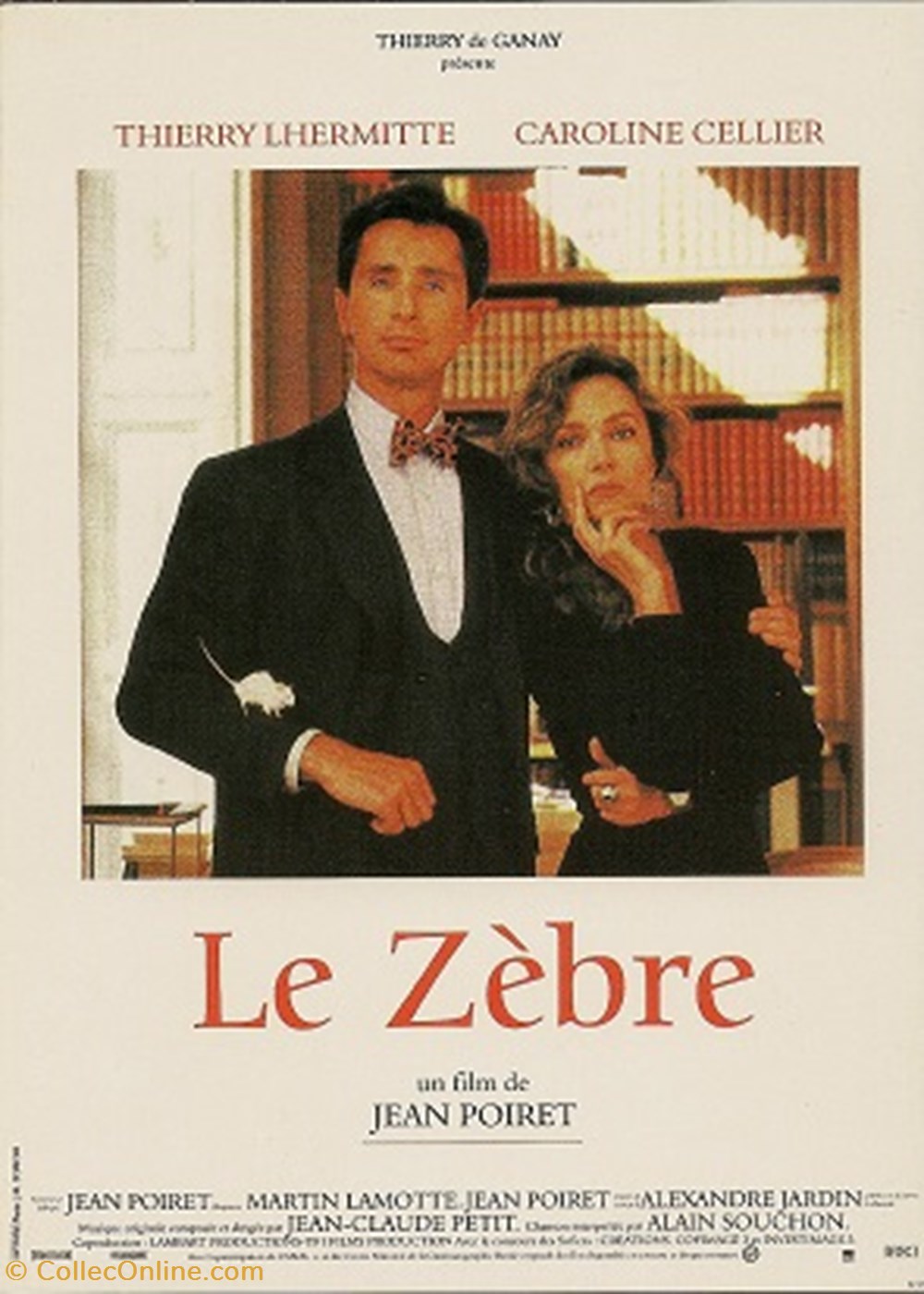 Le zèbre cartes postales autres le zebre