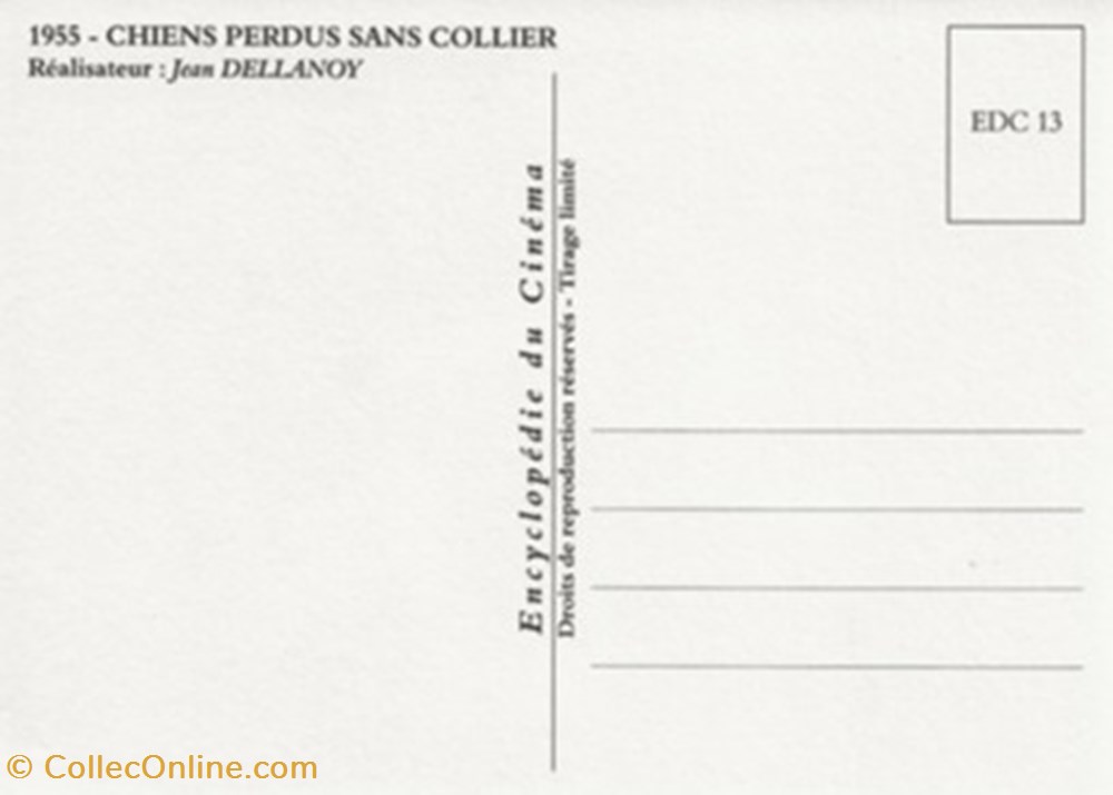 Chiens perdus sans collier cartes postales autres chiens perdus sans collier