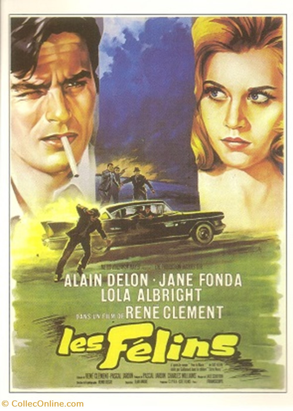 Les félins cartes postales autres les felins