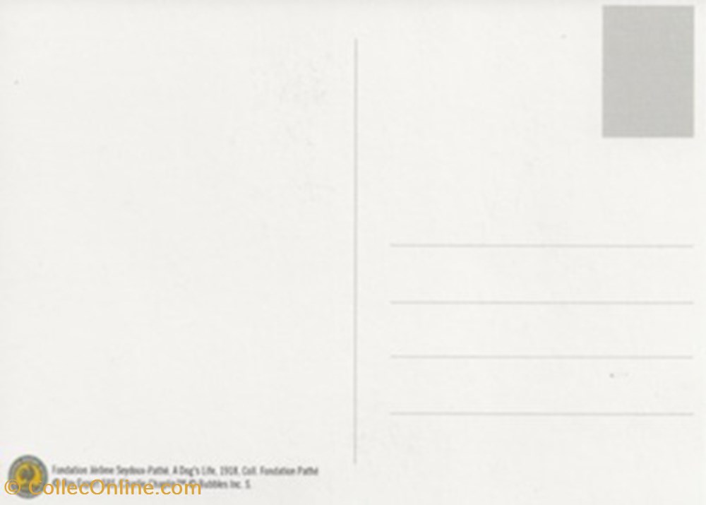 cartes postales autres a dog s life