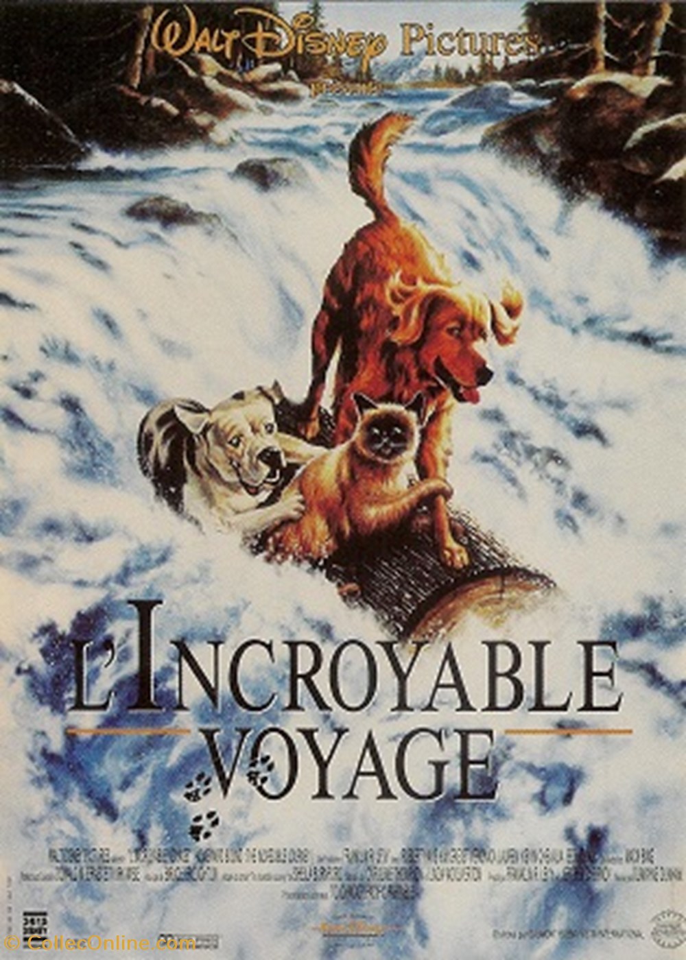L'incroyable voyage cartes postales autres l incroyable voyage