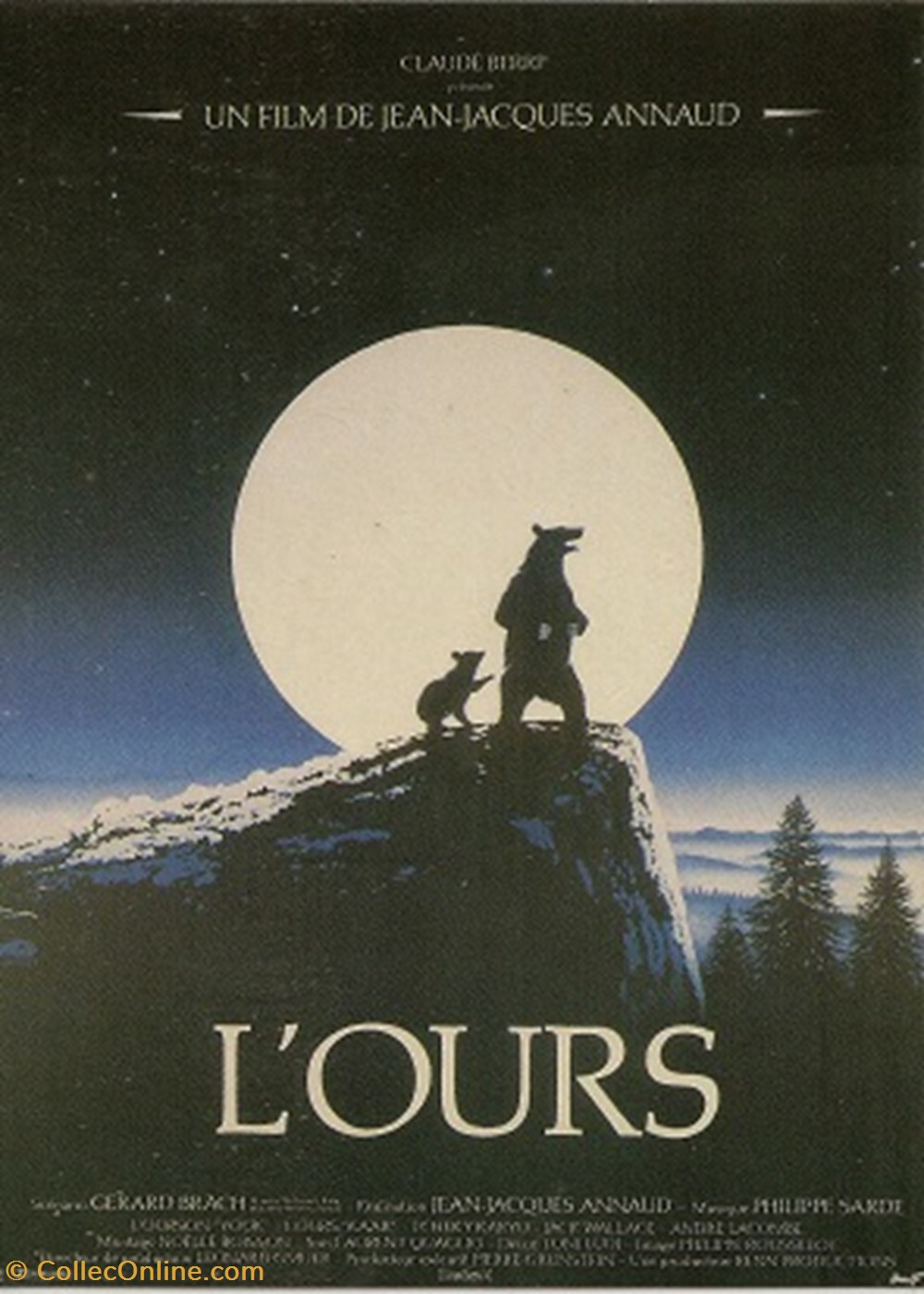 L'ours cartes postales autres l ours