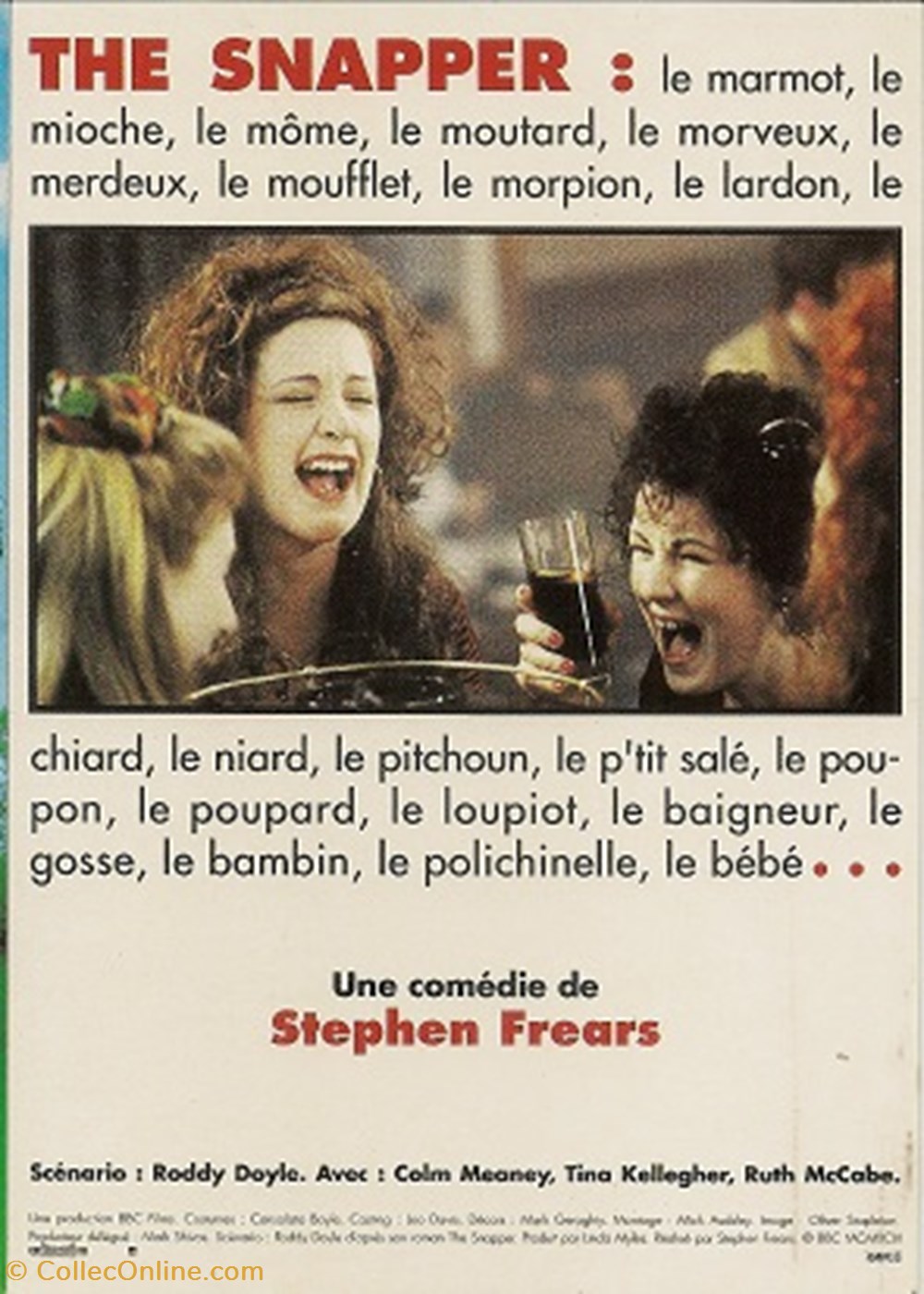The snapper cartes postales autres the snapper
