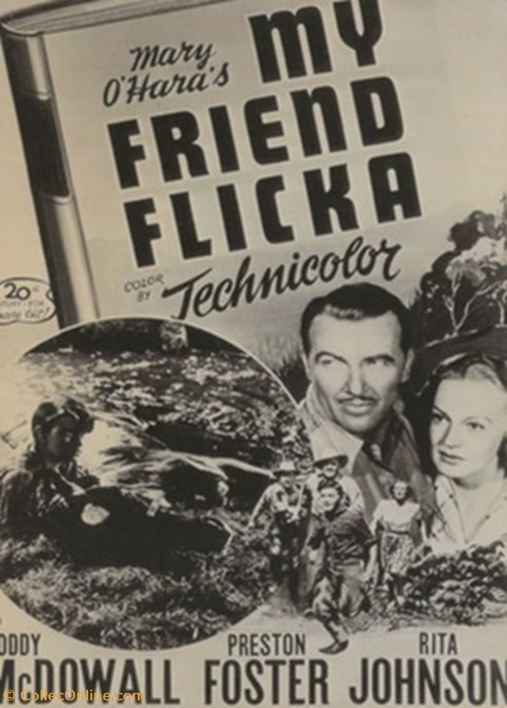 My friend Flicka cartes postales autres my friend flicka