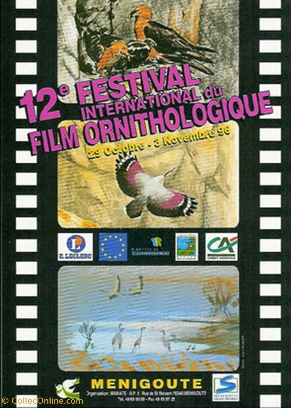 Ménigoutte Festival du film ornithologique 1996 cartes postales autres menigoutte festival du film ornithologique 1996