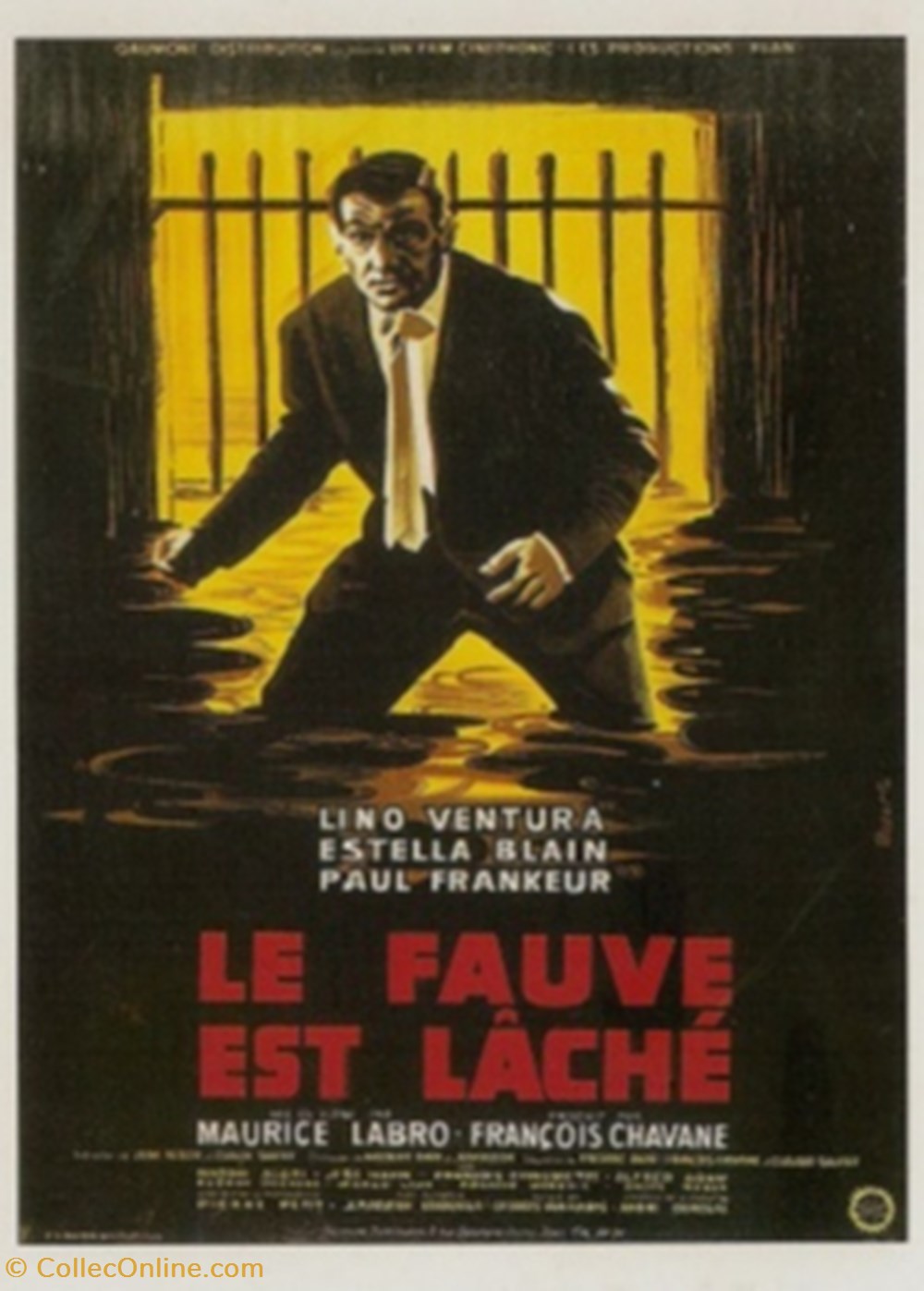 Le fauve est laché cartes postales autres le fauve est lache