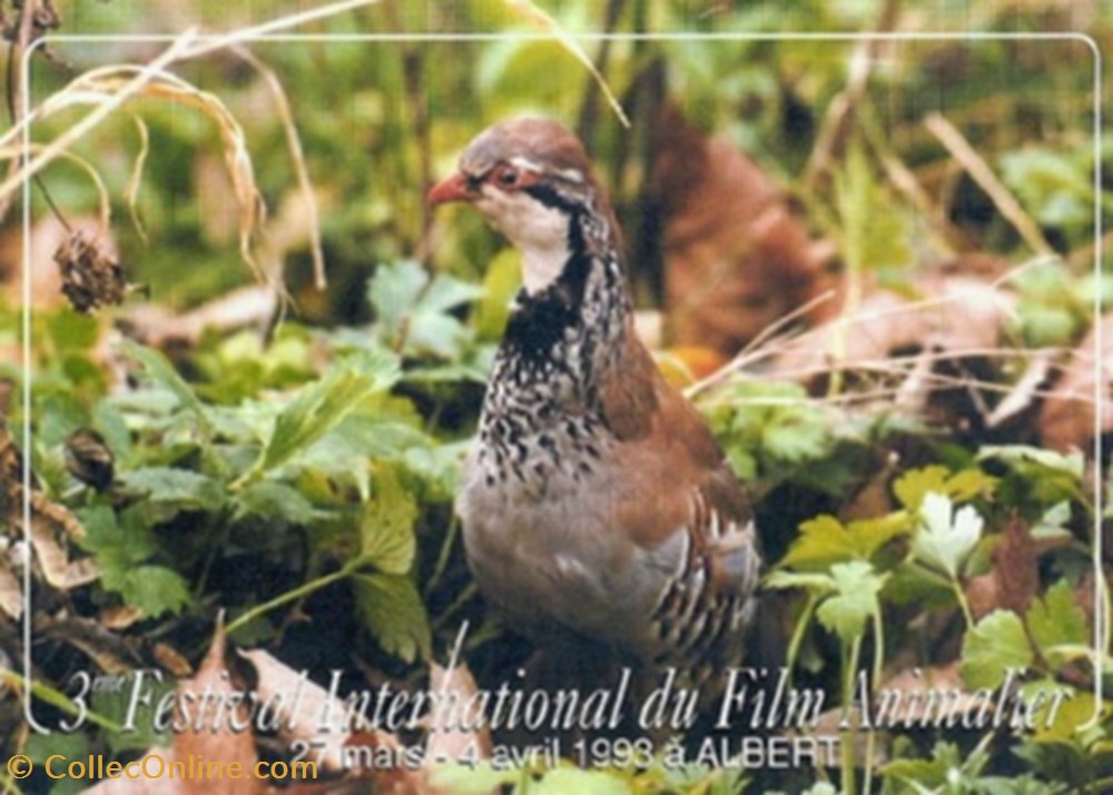 Albert Festival du film animalier 1993 cartes postales autres albert festival du film animalier 1993