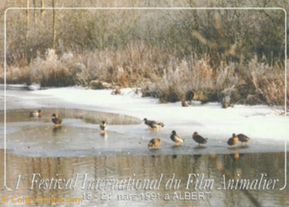 Albert Festival du film animalier 1991 cartes postales autres albert festival du film animalier 1991