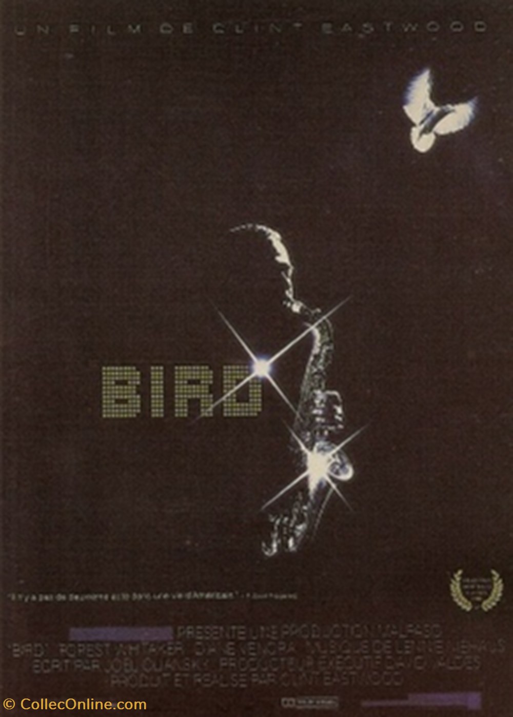 cartes postales autres bird