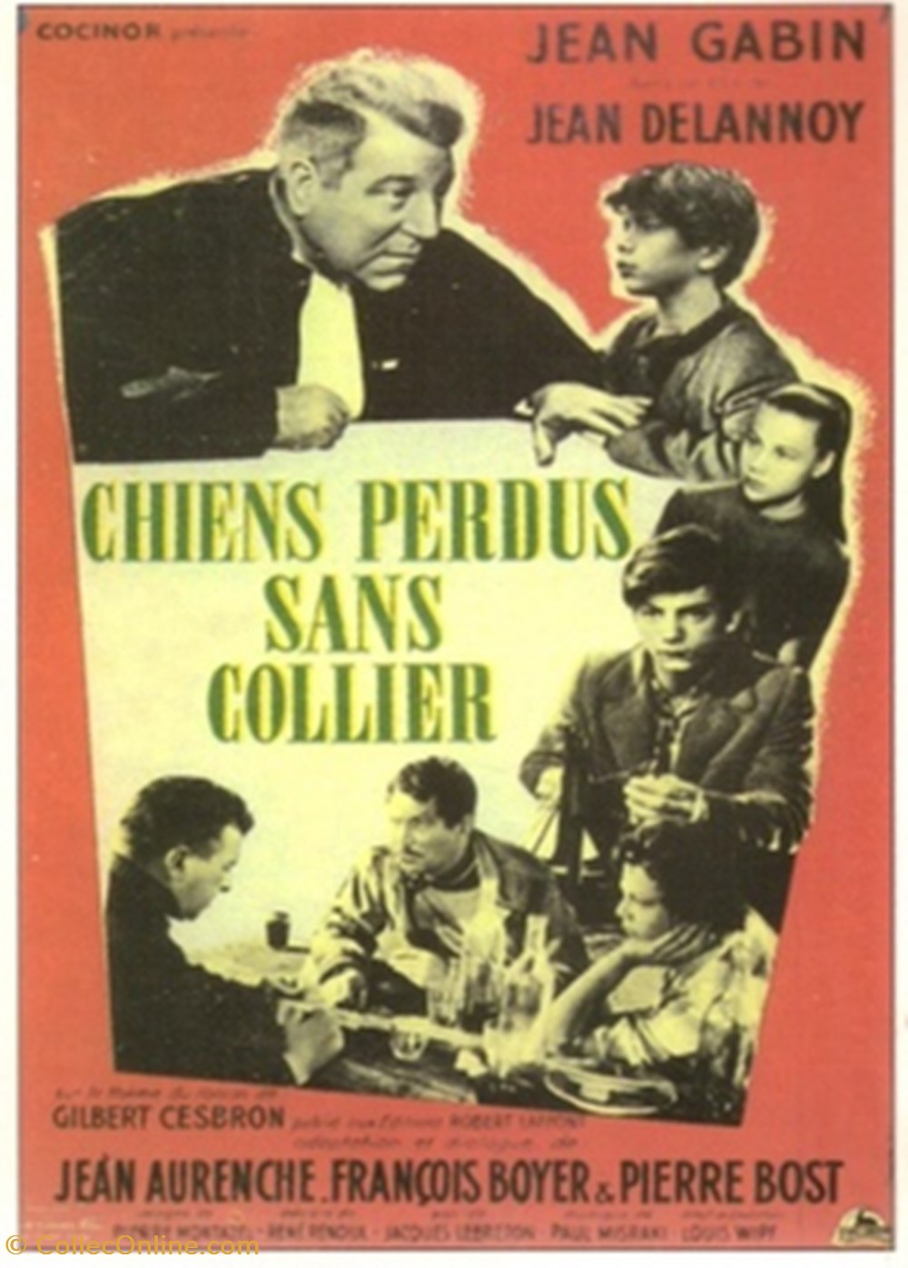 Chiens perdus sans collier cartes postales autres chiens perdus sans collier