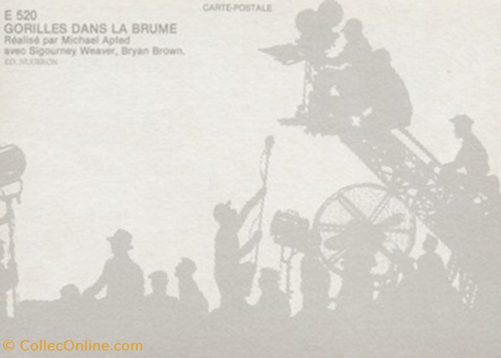 Gorilles dans la brume cartes postales autres gorilles dans la brume