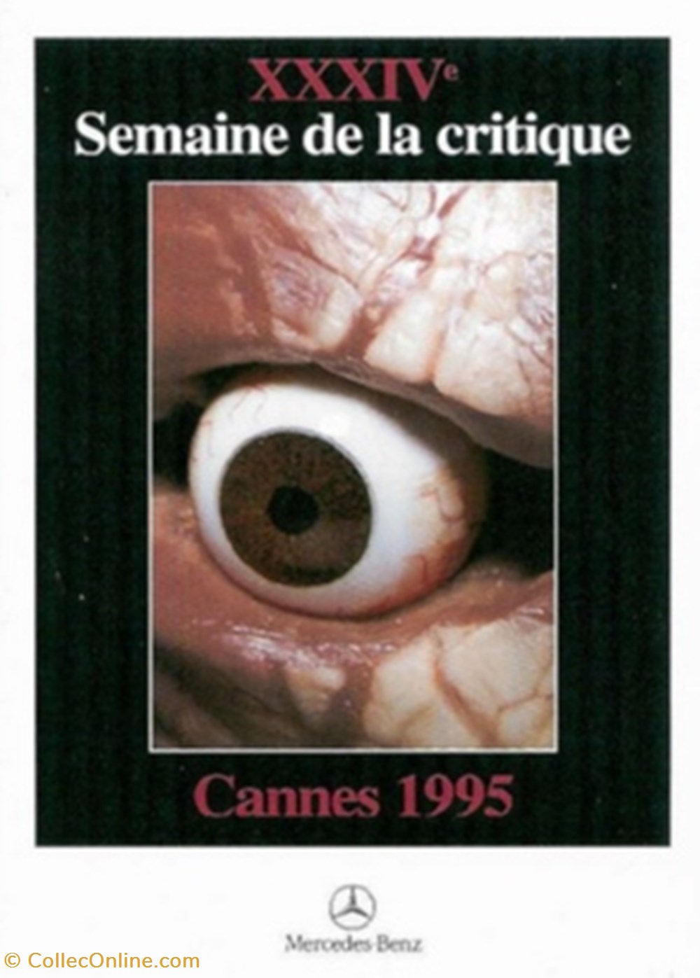 cartes postales autres cannes semaine de la critique 1995