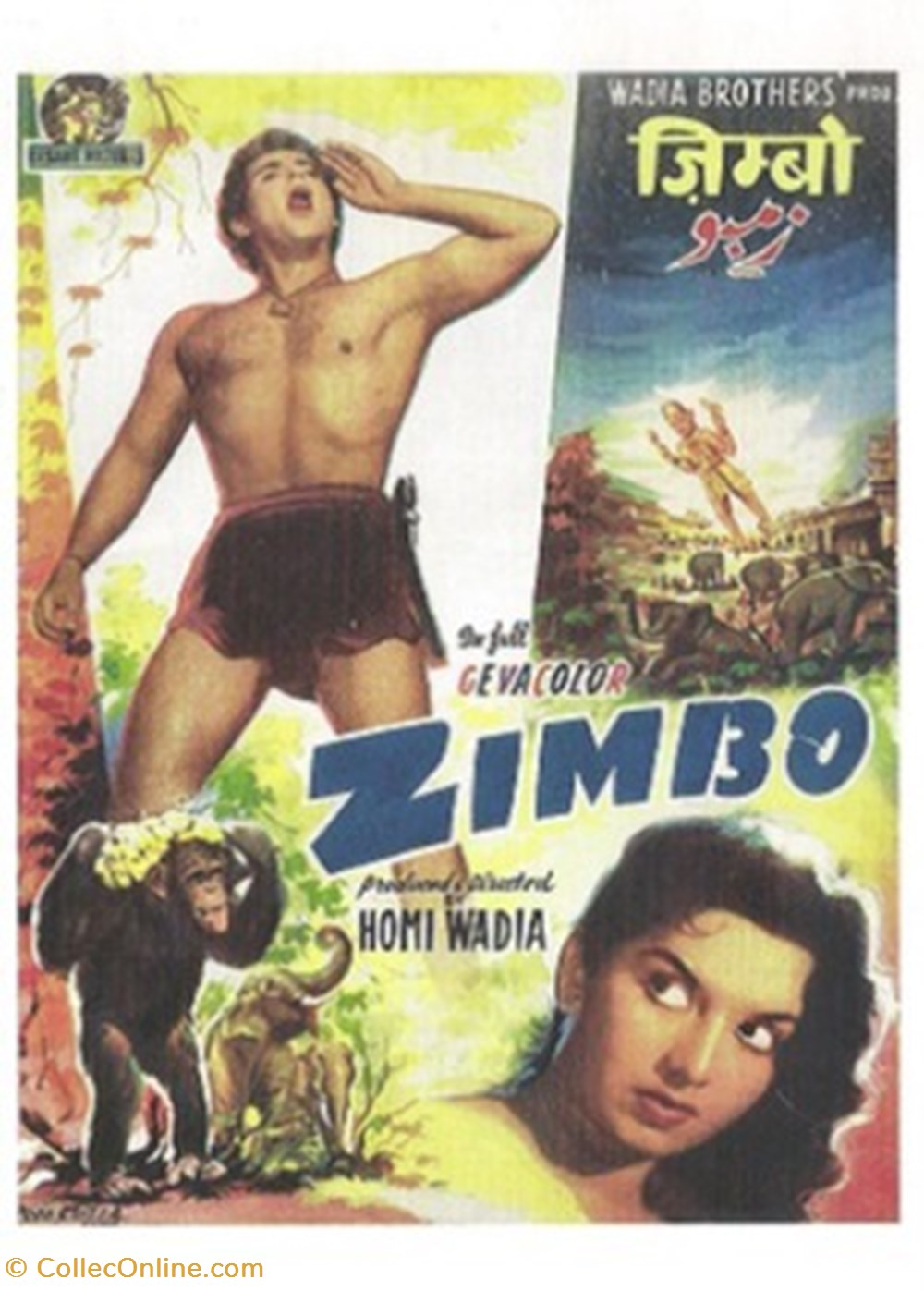 cartes postales autres zimbo