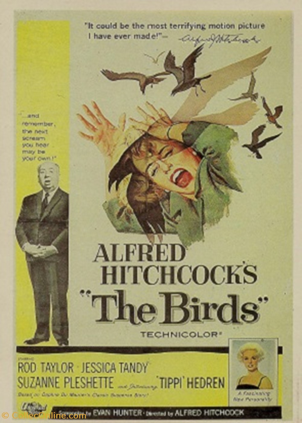 cartes postales autres the birds