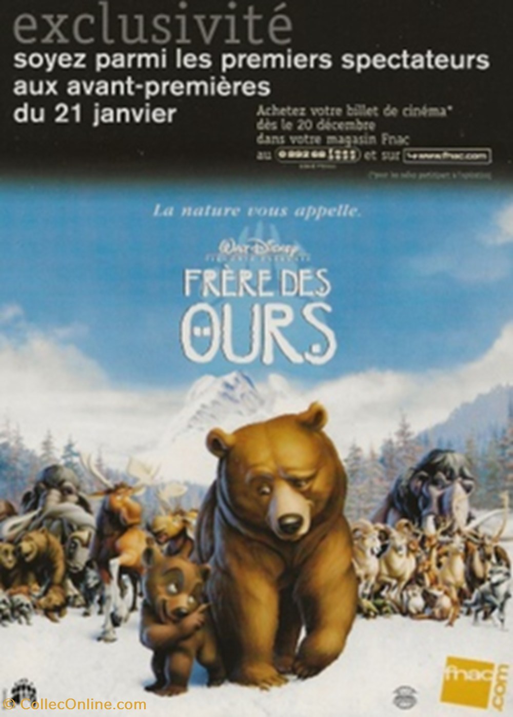 cartes postales autres frere des ours